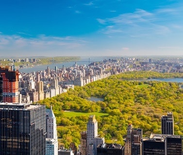 central park - romantischer Ort für einen Heiratsantrag