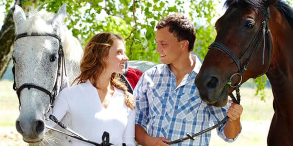 heiratsantrag mit pferd